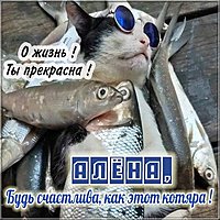 Смешная картинка с именем Алена