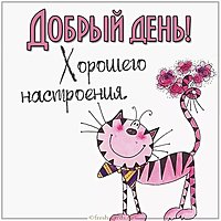 Смешная открытка добрый день и хорошего настроения
