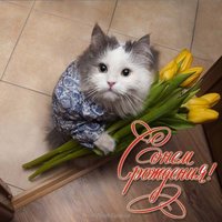 Смешная открытка с днем рождения женщине юморная