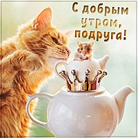Смешная открытка с добрым утром подруге