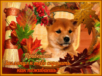 Собачка 