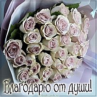 Спасибо благодарю в картинке красивой от души