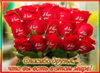 Спасибо друзья что вы есть