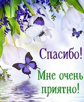 Спасибо, мне очень приятно