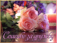 Спасибо мои друзья за дружбу