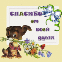 Спасибо от всей души