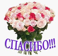 Спасибо