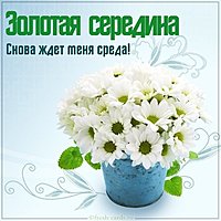 Среда день недели картинка прикольная