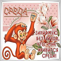 Среда картинка прикольная с обезьянами