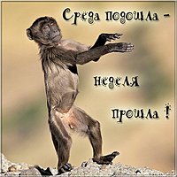 Среда подошла неделя прошла картинка прикольная