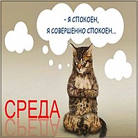 Среда смешная картинка