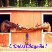 Свадебная прикольная открытка картинка