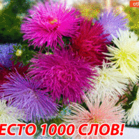 Тебе вместо 1000 слов!