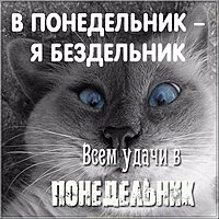 Удачного понедельника картинка смешная