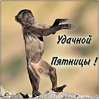 Удачной пятницы картинка прикольная