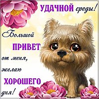 Удачной среды картинка прикольная