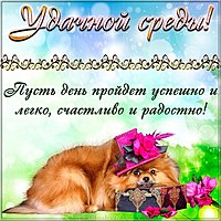 Удачной среды открытка поздравление