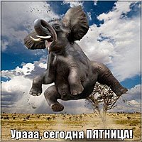 Ура пятница картинка прикольная смешная