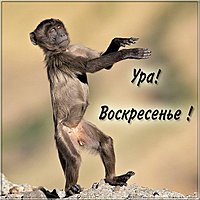 Ура воскресенье картинка прикольная