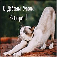 Утро четверга картинка прикольная