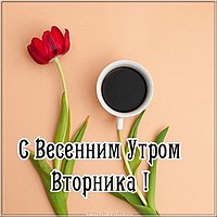 Утро вторника картинка прикольная
