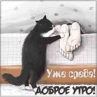 Уже среда картинка прикольная