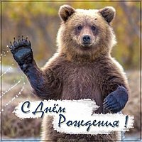 Веселая фото картинка с днем рождения
