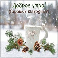 Веселая картинка доброе утро веселых выходных