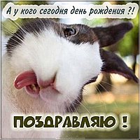 Веселая картинка с днем рождения