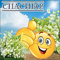 Веселая открытка спасибо