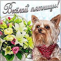 Веселой пятницы в картинке прикольная смешная