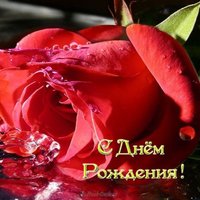 Вип открытка с днем рождения