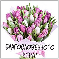Виртуальная картинка благословенного утра