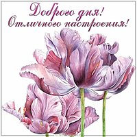 Виртуальная картинка доброго дня и отличного настроения