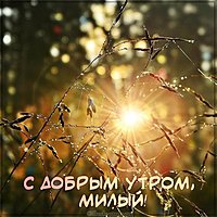 Виртуальная картинка с добрым утром милый