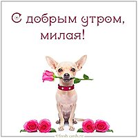 Виртуальная картинка с добрым утром прикольную женщине