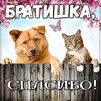 Виртуальная картинка спасибо братишка