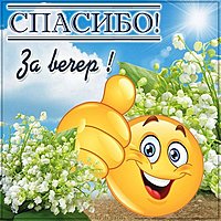Виртуальная картинка спасибо за вечер