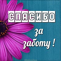 Виртуальная картинка спасибо за заботу