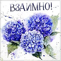 Виртуальная картинка взаимно