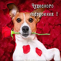 Виртуальная открытка чудесного настроения