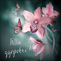 Виртуальная открытка как здоровье