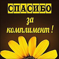 Виртуальная открытка спасибо за комплимент