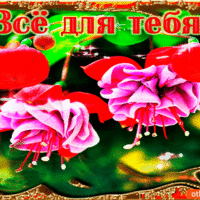 Открытка с фуксиями — всё для тебя