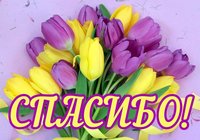 Всем спасибо
