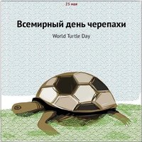 Всемирный день черепахи картинка