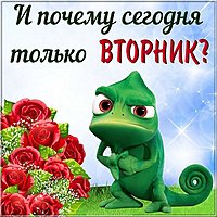 Вторник картинка прикольная смешная бесплатно