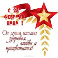 23 февраля подарок папе открытка