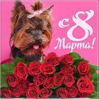 8 марта картинка