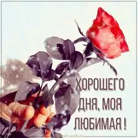 Бесплатная электронная картинка хорошего дня любимая